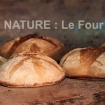Vacances participatives